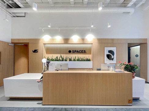 Office: 110 Carlton Gore Road, Auckland, 1023