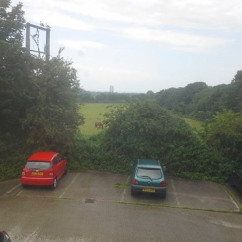 Office: Continental Approach, Margate, CT9