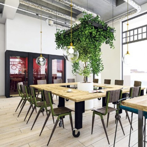 Office: Hogarth House, Holborn, London, WC1V
