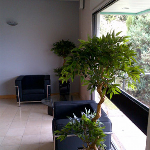 Office: Rackery Lane, Wrexham, LL12