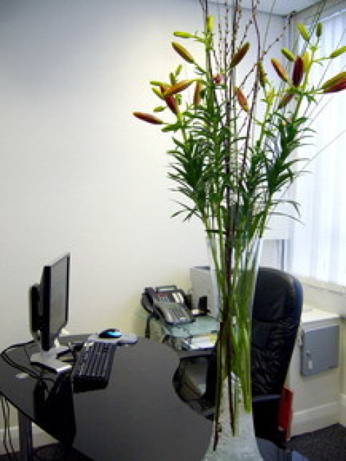 Office: Wellesley House, Ilford, IG1