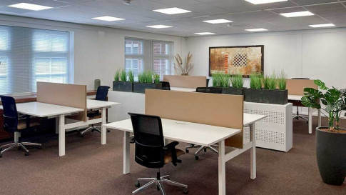 Office: Bredaseweg 8, Terheijden, 4844 CL