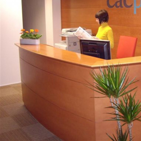 Office: Cacplus Business Centre, Barcelona, 08007