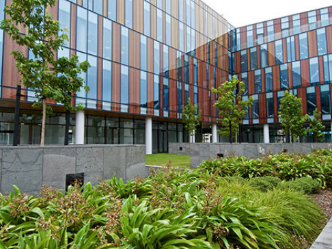 Office: Awly Building, Level 1, Christchurch, 8013