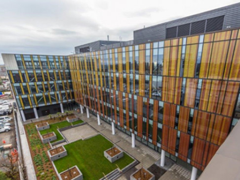 Office: Awly Building, Level 1, Christchurch, 8013