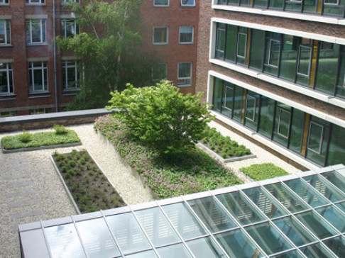 Office: AOC, Hanauer Landstrasse 291 B, Frankfurt, 60314