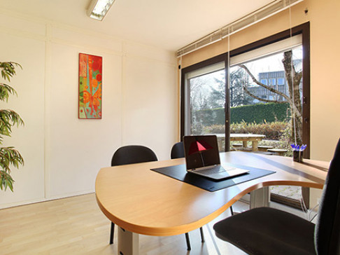 Office: Seyssinet, 18 rue de la Tuilerie, Grenoble, 38176