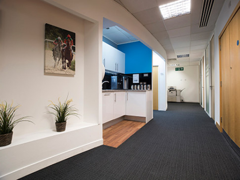 Office: Kingston Road, Dorset House, Leatherhead, KT22 7PL