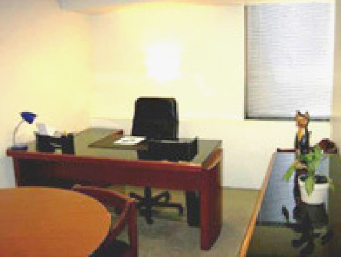 Office: Mariano Escobedo, Mexico City, 11590