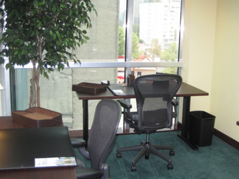 Office: Campos Eliseos Polanco, Andr, Mexico City, 11560