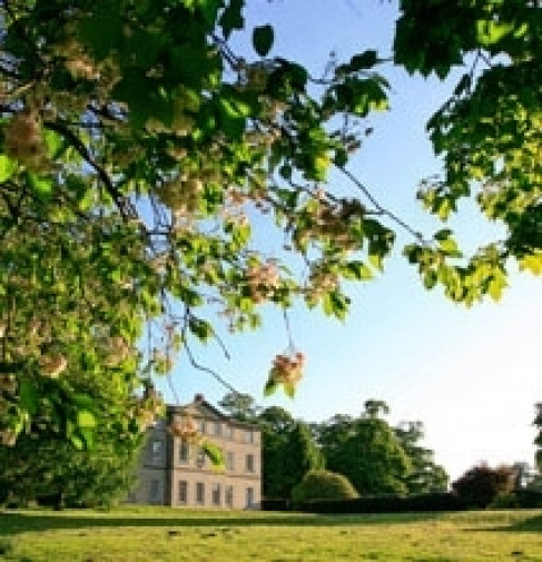 Office: Strelley Hall, Nottingham, NG8