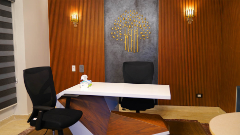 Office: WorkBrand Office Space, 72 Gameat Al Dewal Al Arabeya, Giza, 12519