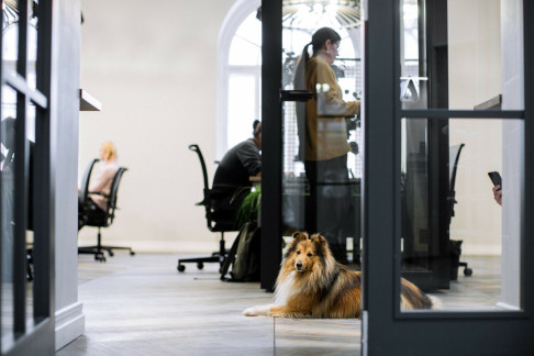 Office: P&auml;rnu mnt 12, Tallinn, Tallinn, 10148