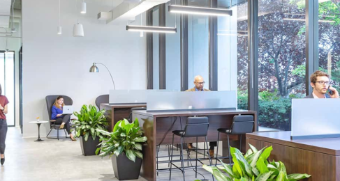 Office: 40-50 Fountain Plaza, Buffalo, 14202