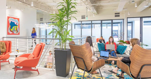 Office: 44 South Broadway, White Plains, 10601