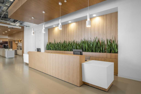 Office: 5200 Yonge Street, Toronto, M2N 5P6