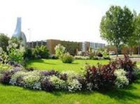 Dijon