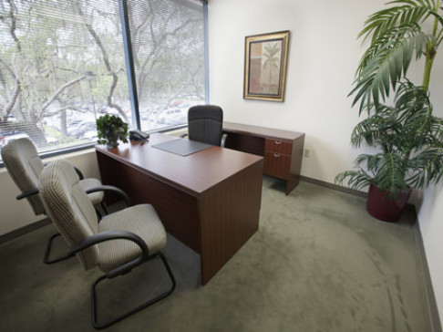 Office: Florida, Palms, 15310 Amberly Drive, Tampa, FL 33647