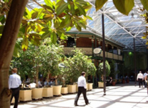 Office: Forrest Centre WA, Perth, 6000