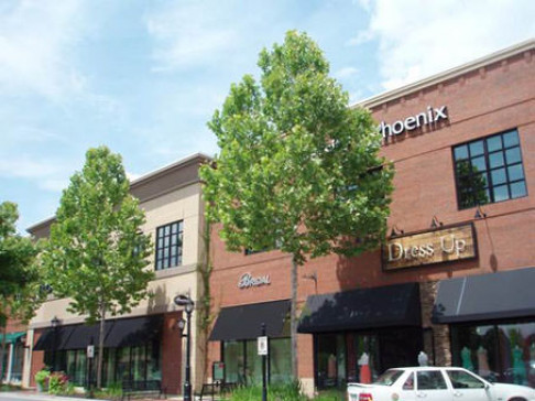 Office: Georgia, Shoppes at Webb Gin, 1350 Scenic Highway, Snellville, GA 30078