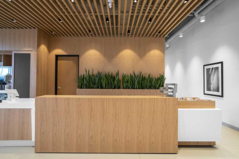Office: 34 Minowan Miikan Lane, Toronto, M6J 0G3