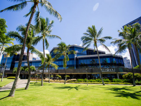 Office: Hawaii, Waterfront, 7 Waterfront Plaza, Honolulu, HI 96813