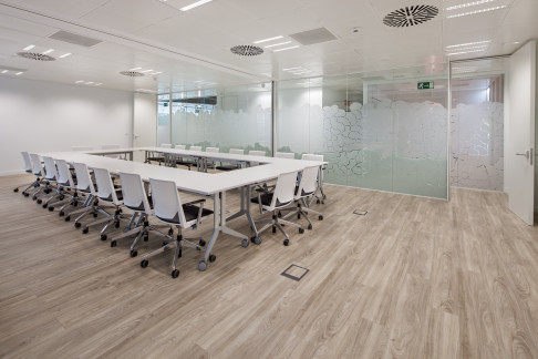 Office: Azca, Paseo De la Castellana, Madrid, 28046