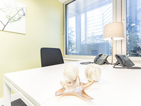 Office: Castellana, Paseo de la Castellana, 93, Madrid, 28046