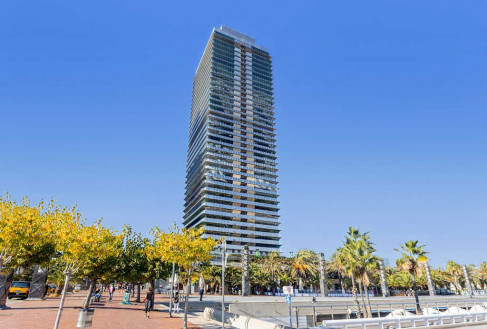 Office: Carrer de la Marina, 16-18, Barcelona, 08005
