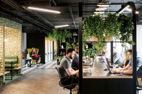 Office: The Brickhouse, Clanwilliam Court, Dublin, Dublin 2