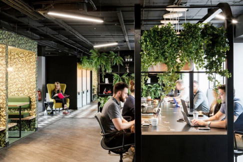 Office: The Brickhouse, Clanwilliam Court, Dublin, Dublin 2