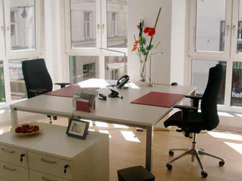 Office: Fischhof, Fischhof 3/6, Vienna, A-1010