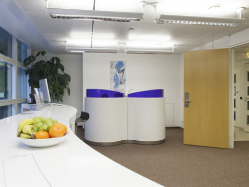 Office: Opera New Business centre, Kaerntner Ring 5-7, Vienna, 1010