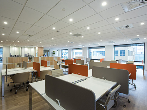 Office: Willis Street, Level 6, Wellington, 6011