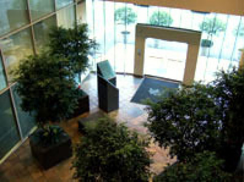 Office: Willingdon, Vancouver, V5C