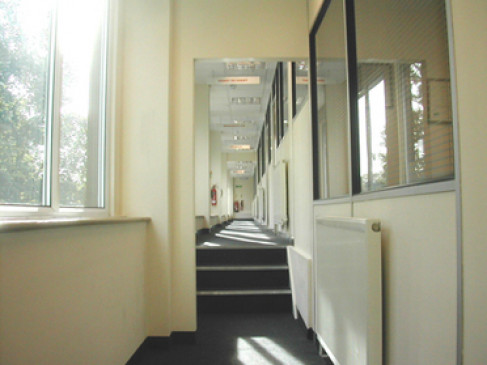 Office: Willow Walk, Orpington, BR6
