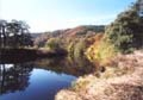 Office: Wyastone Business Park, Monmouth, NP25