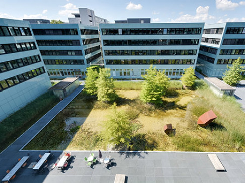 Office: Dammstrasse, Dammstrasse 19, Zug, CH-6300